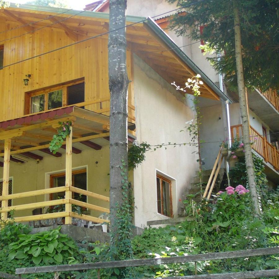شيفليك Mountain Sun Guest House المظهر الخارجي الصورة